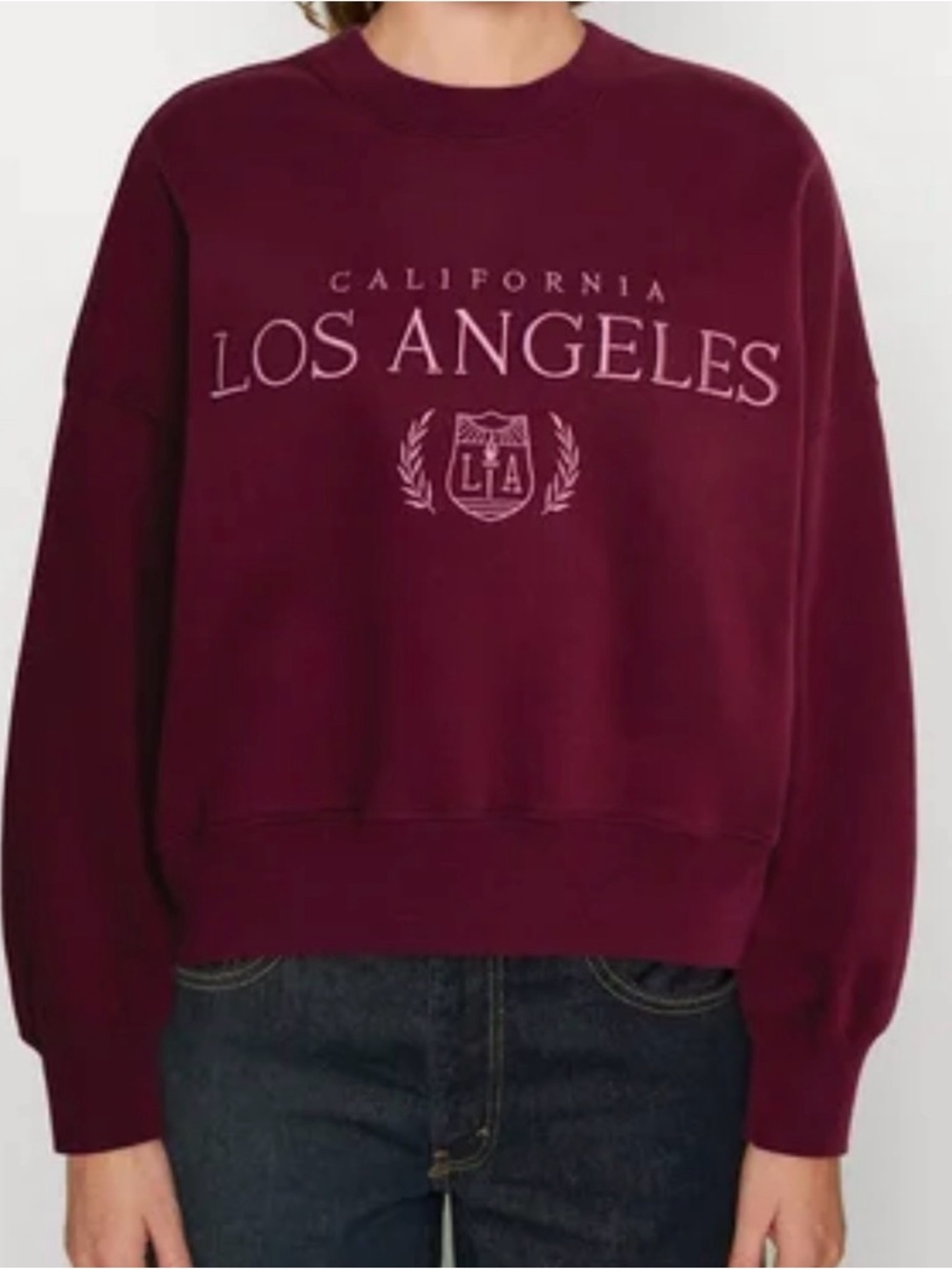 NWT Abercrombie & Fitch Crewneck Sweatshirt Maroon Size Large